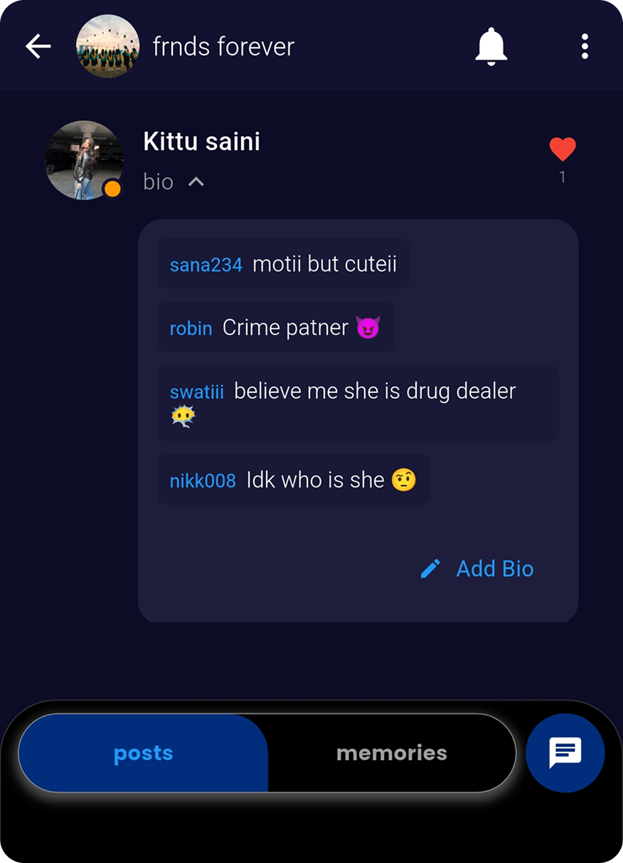 user can write each others Bio